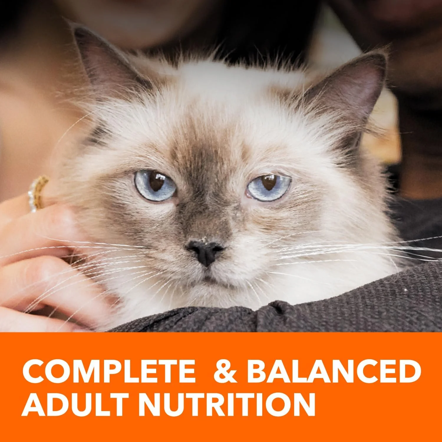 IAMS Proactive Health Indoor Weight & Hairball Care Adult Dry Cat Food with Chicken & Turkey, 7 lb. Bag - Image 4